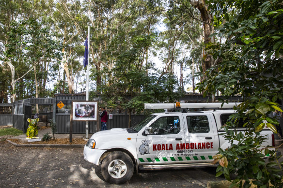 Volunteers put heart and effort into running Port’s Koala Hospital.