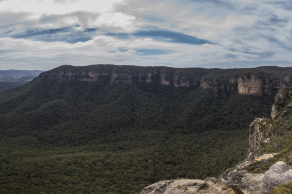The NSW government has bought the Radiata Plateau, 300 hectares of Blue Mountains bushland.