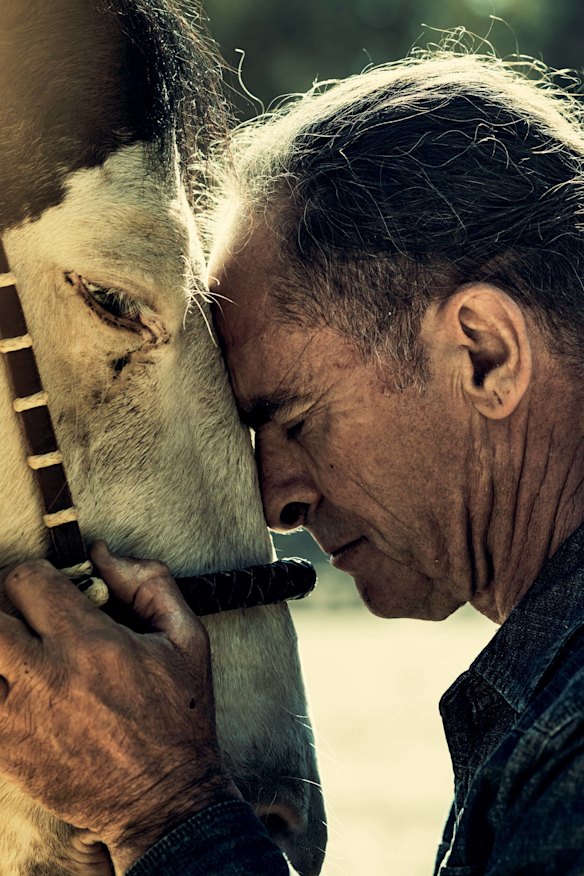 “Most people are so focused on what the horse is doing, and what they believe is going on between them and their horse, that they are unaware of what the horse needs,” says Warwick Schiller.  