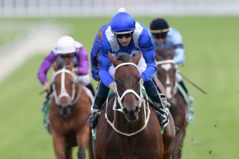 Winx is expected to be retired after Saturday's Queen Elizabeth Stakes. 