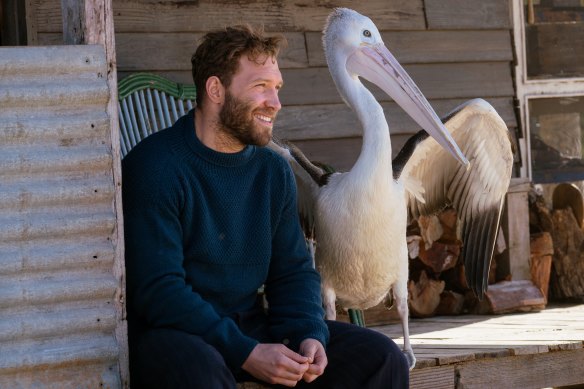 The new Storm Boy movie, starring Jai Courtney, reframes the classic story.