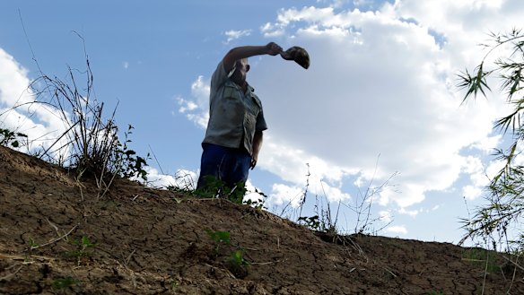 South African farmers are caught in the political crossfire.