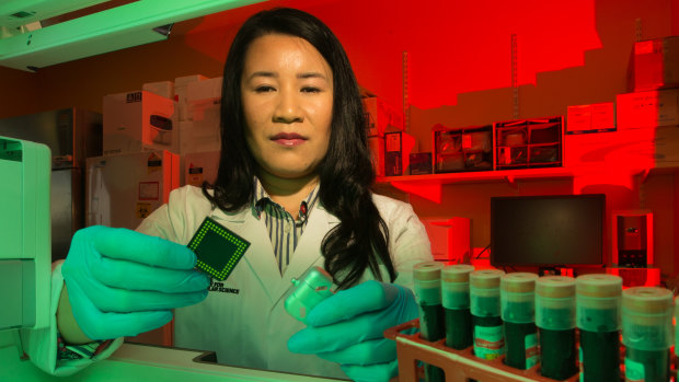 Molecular biologist Dr Lesley Cheng at La Trobe University has worked on a blood test to detect and diagnose Alzheimer's disease years before symptoms appear by detecting abnormalities in the blood of patients.