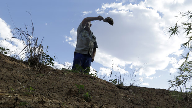 South African farmers are caught in the political crossfire.