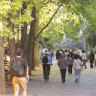 Universities Australia recently announced it would adopt a new definition of antisemitism, developed by the country’s eight major research universities together with the federal government’s special envoy on antisemitism.
