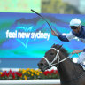 ‘Pretty to watch’: Atishu blows away Queen of the Turf rivals