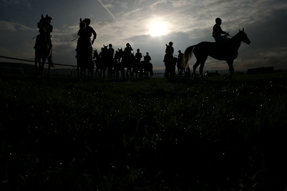 Jockeys and horses near the start at Taunton Racecourse, England.
