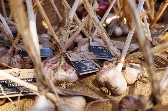 The South Gippsland Garlic Festival returns this weekend for its second year.