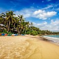 Mirissa Beach, a gorgeous sweep of sand without a single person on it.
