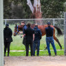 Champion trainer scanning his own horses to avoid Melbourne Cup scratchings