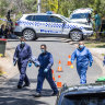 Man on the run after two shot dead in Rye