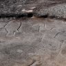 Ancient Bondi rock carvings at risk of destruction
