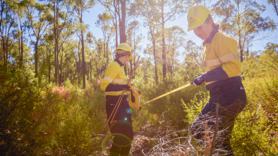 Alcoa has mined WA’s jarrah forest for 61 years.