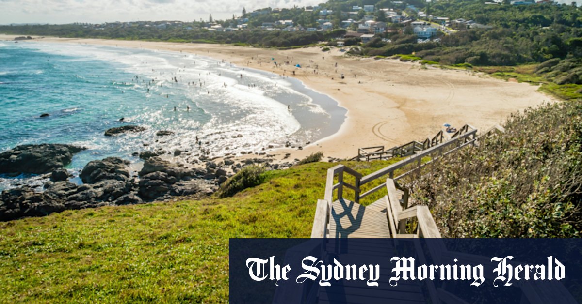 Port Macquarie shark attack: Man in critical condition - Vimarsana News