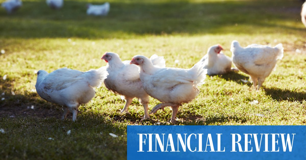 Investment bankers are pumping the protein for Inghams