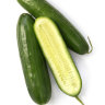 Baby cucumbers recalled in WA as 19 people contract Salmonella