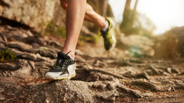 New insight into how the foot operates could lead to new treatments for injuries and even new designs for running shoes.