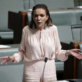 Labor MP Anne Aly.