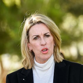 Opposition health spokeswoman Georgie Crozier