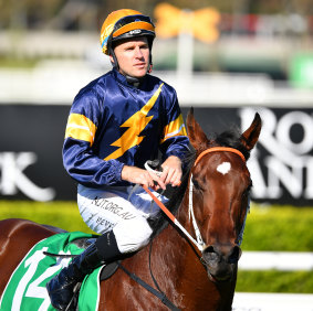 Tommy Berry returns on Masked Crusader at Randwick on Saturday