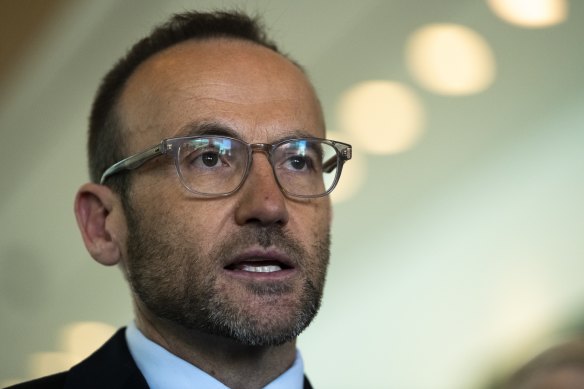 Greens leader Adam Bandt is sticking by his call for a ban on new coal and gas projects in return for backing Labor’s climate bill.