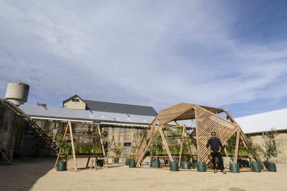 Tony Albert constructed a greenhouse on Cockatoo Island for the Sydney Biennale. 