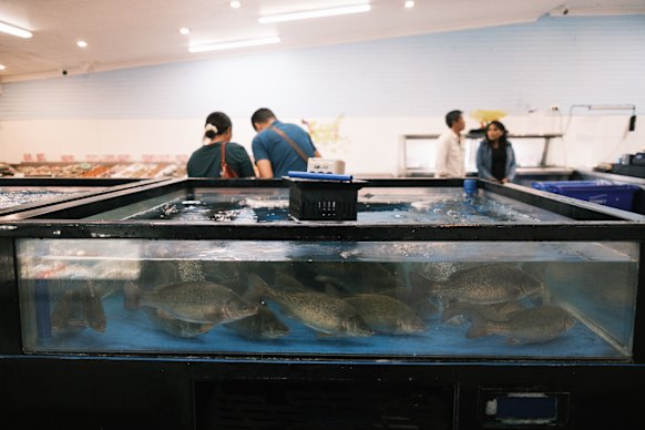 Inala Fish Market in the Inala Civic Centre, adjacent to the plaza.