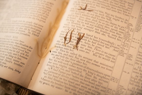 Norman Small bought his great uncle Charles Edward Small’s Bible to the herbarium at Australian Botanic Garden Mount Annan to help identify plant material found within.