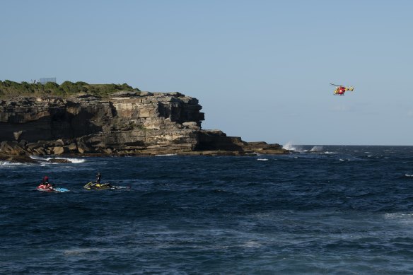 A swimmer has been fatally attacked by a shark at Little Bay Beach.
