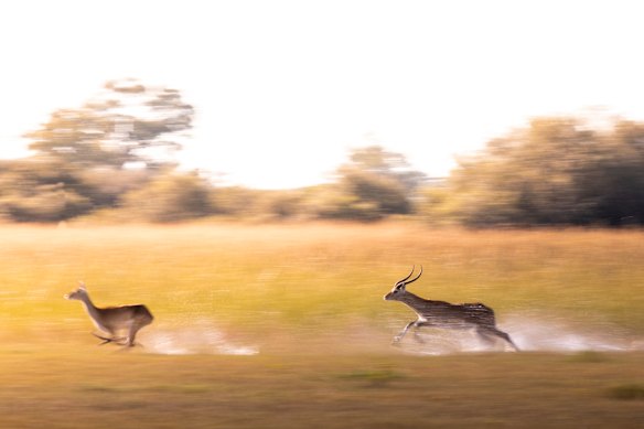 Fugindo em direção a ele.