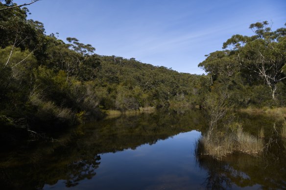 The NSW government will expand an Aboriginal joint-management model of its national parks.