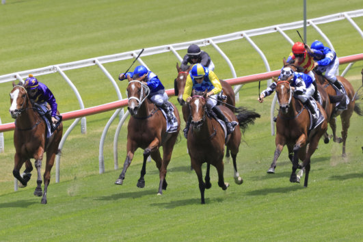 Salina Dreaming (yellow and blue colours) wins at Randwick for Angela Davies. 