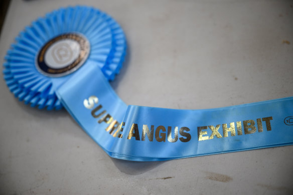 The Supreme Angus Exhibit ribbon.