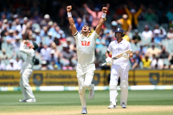Mitchell Starc celebrates after dismissing Will Jacks.