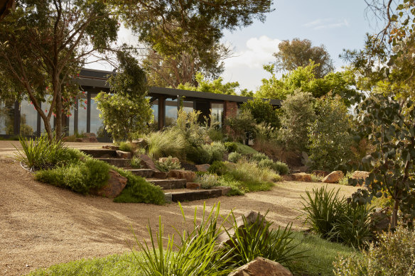 Originally a jungle of introduced species, the garden was cleared and landscaped with native plants.