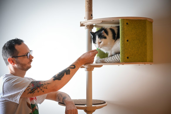 Niall Somerville has splashed out on a floor to ceiling cat tree for Iggy.