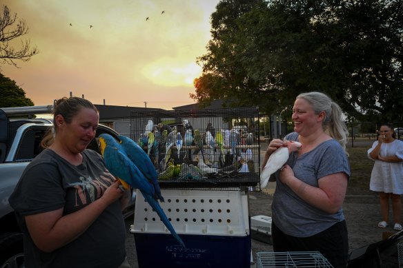 Jasmine Broadbent (left) and Mel Vincent at the Wendouree emergency relief centre in Ballarat with their rescued birds as smoke blots the sky.