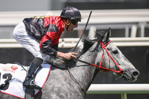 Daniel Stackhouse rides The Maggstar to victory on Cup Day.