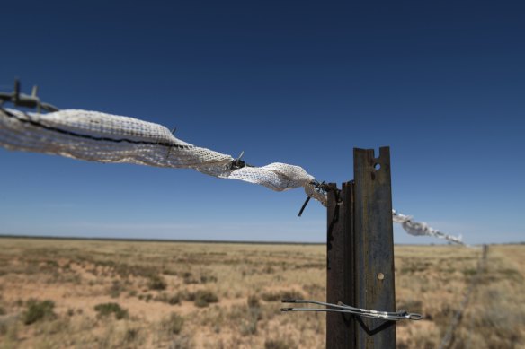 Reflective tape on fences makes the hazards visible to the low-flying birds.