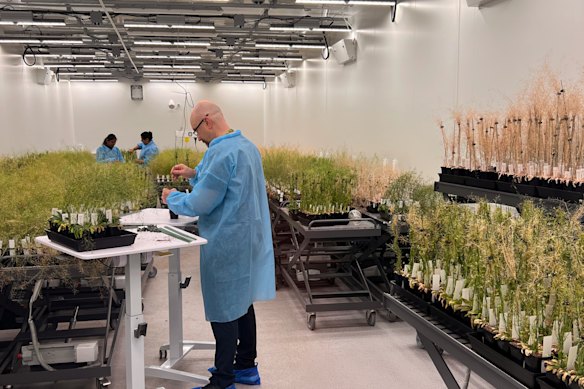 Laboratories can manipulate light, heat, humidity, CO2 and other environmental factors.