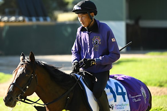 Stinger Glass doing track work at Werribee earlier this month.