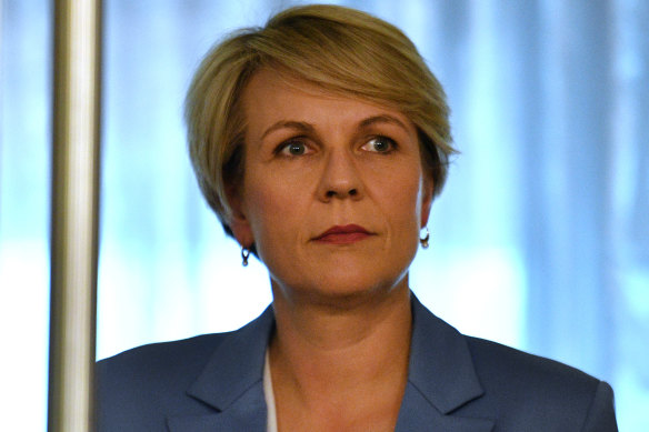 Tanya Plibersek, Labor's shadow minister for women.