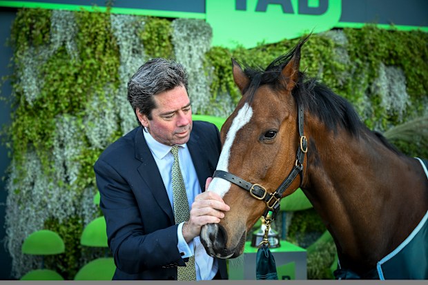 Tabcorp CEO Gillon McLachlan skips the races to face a fresh anti-money ...