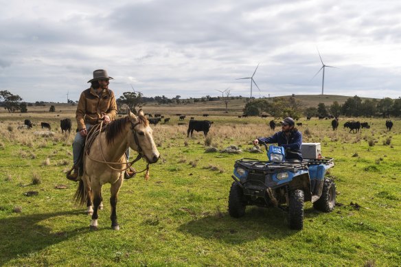 Simon Barton’s sons Sam and Jeremy prepare to move cattle to a new paddock.