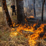 Bushfires near Raglan in western Victoria on Friday.