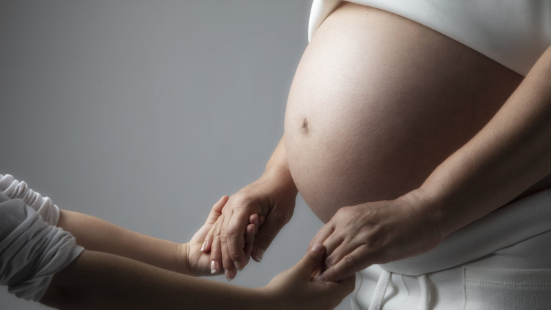 Immigration cuts only work if women have more babies. Dutton knows they won’t