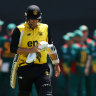 WA skittled for 53 after losing 8-1 in horror collapse