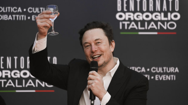 Elon Musk’s Aussie chair battles shareholders over Tesla boss’s billions