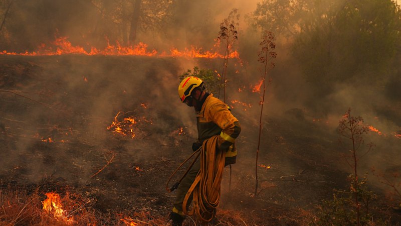 Wildfires threaten Bordeaux as France, Spain battle blazes