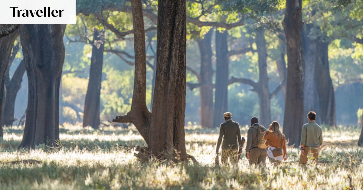 A safari on foot in the big, bad wilderness is amazing – and nerve-racking